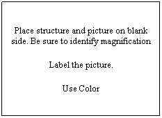 Text Box: Place structure and picture on blank side. Be sure to identify magnification
Label the picture.
Use Color
