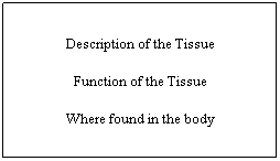 Text Box: Description of the Tissue
Function of the Tissue
Where found in the body
